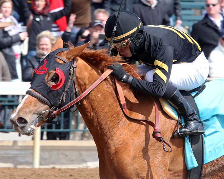 Coco Channel wins an April 2018 allowance at Keeneland
