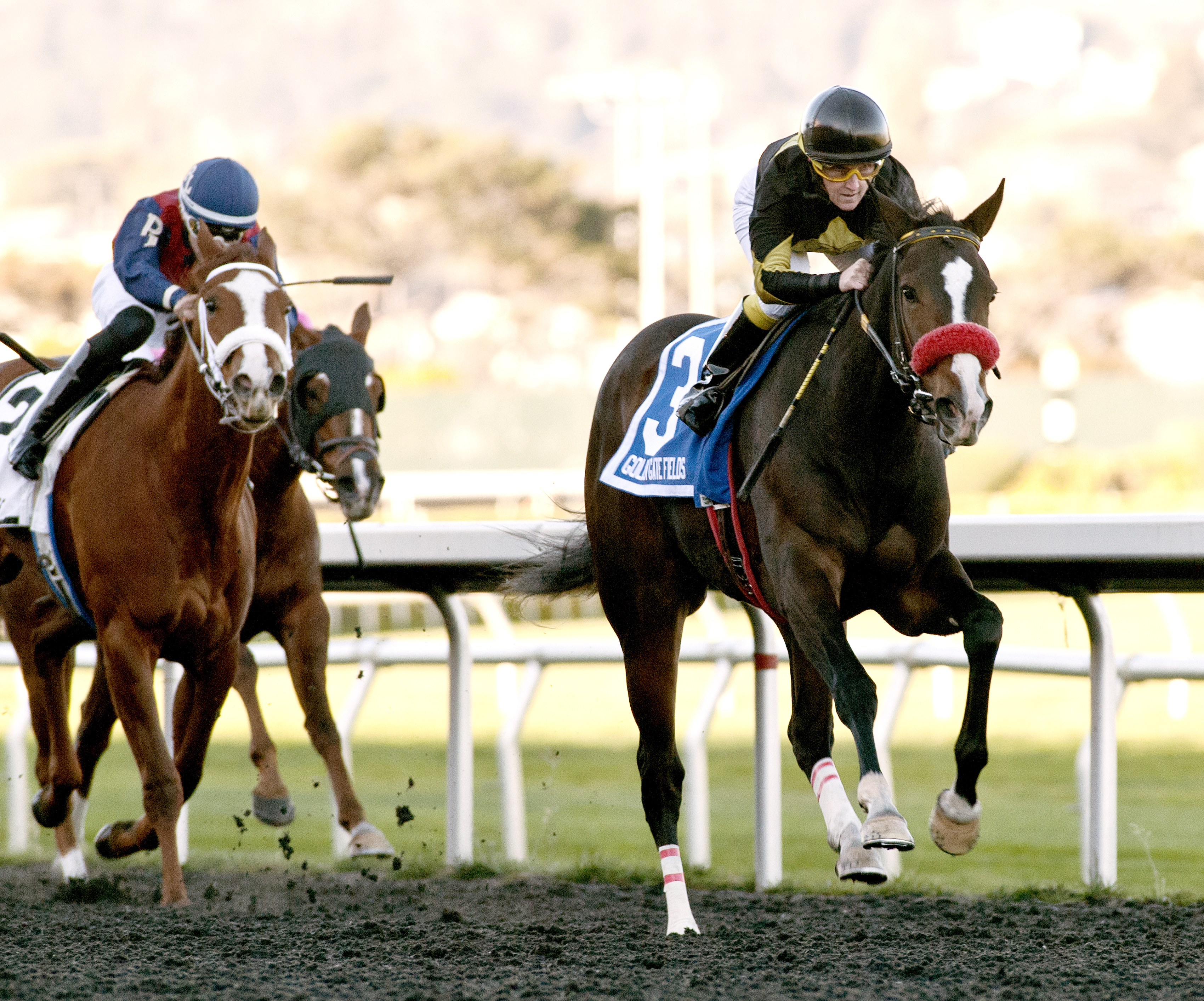 Code Warrior wins the Golden Gate Debutante