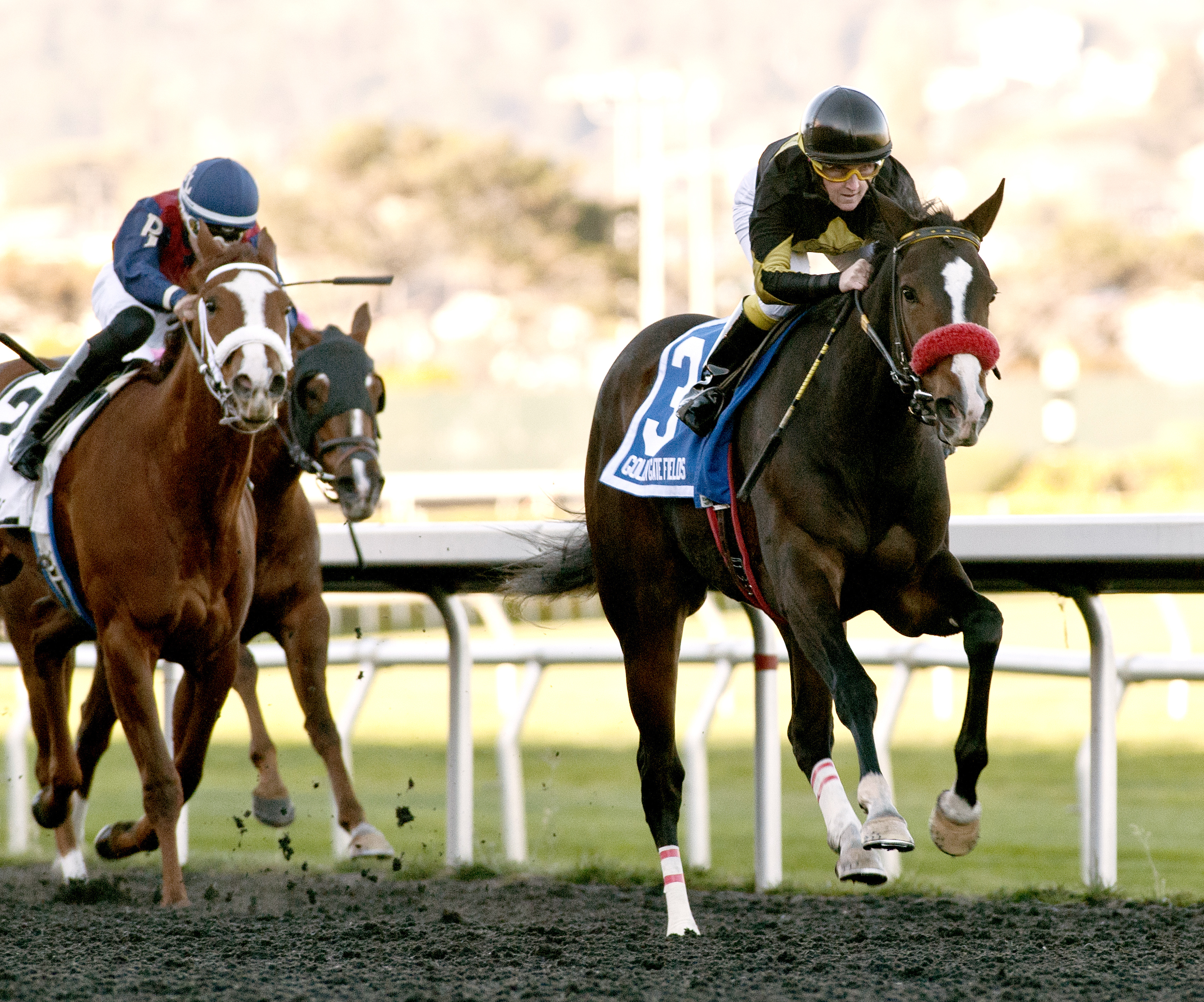 Code Warrior wins the 2015 Golden Gate Debutante