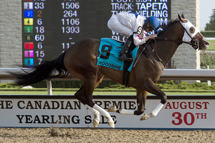 Code Warrior wins the Seaway Stakes