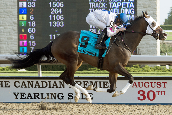 Code Warrior wins the Seaway Stakes