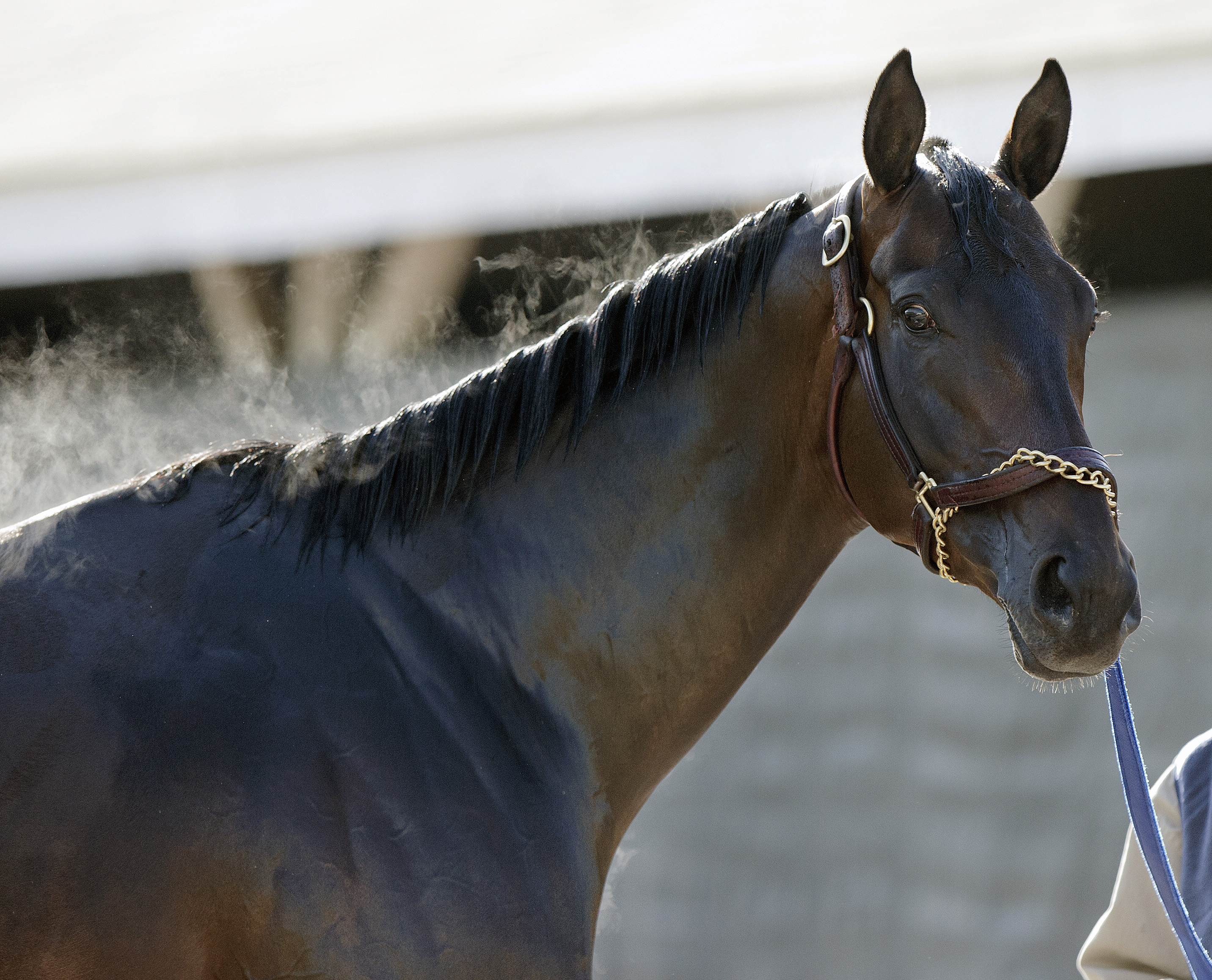 Belmont Stakes: Napravnik to ride Code West for Baffert