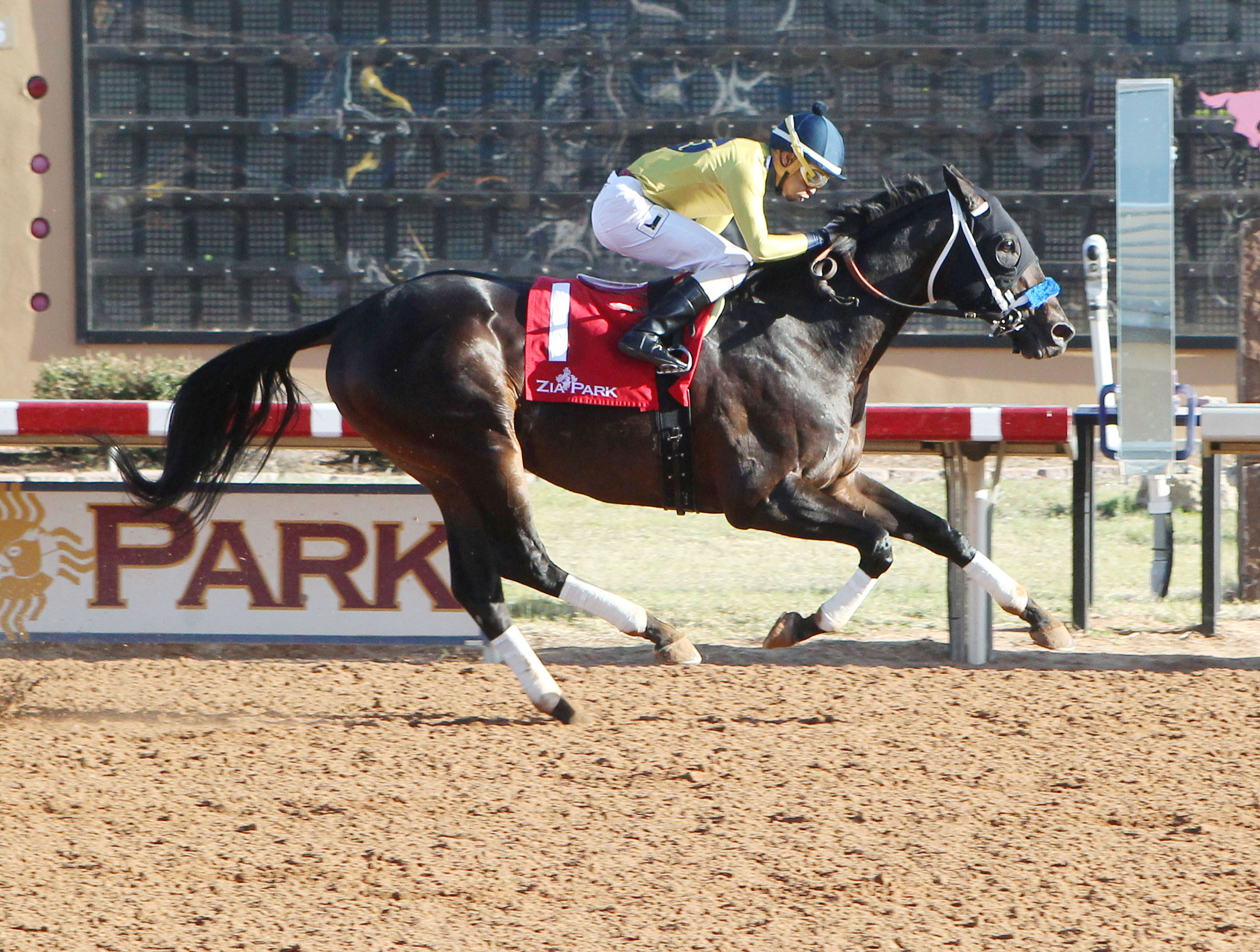 Code West wins the 2017 Veterans Stakes