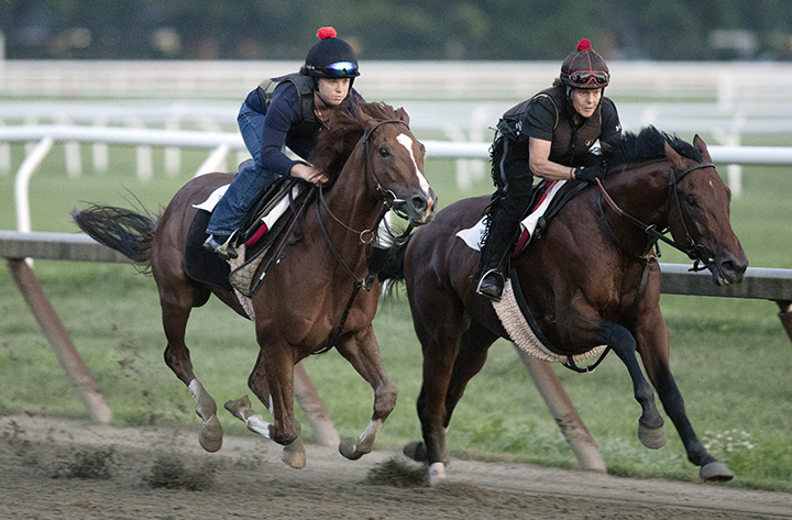 Code of Honor (left) trains at Saratoga Race Course on Aug. 4