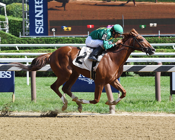Code of Honor wins an Aug. 18 maiden race