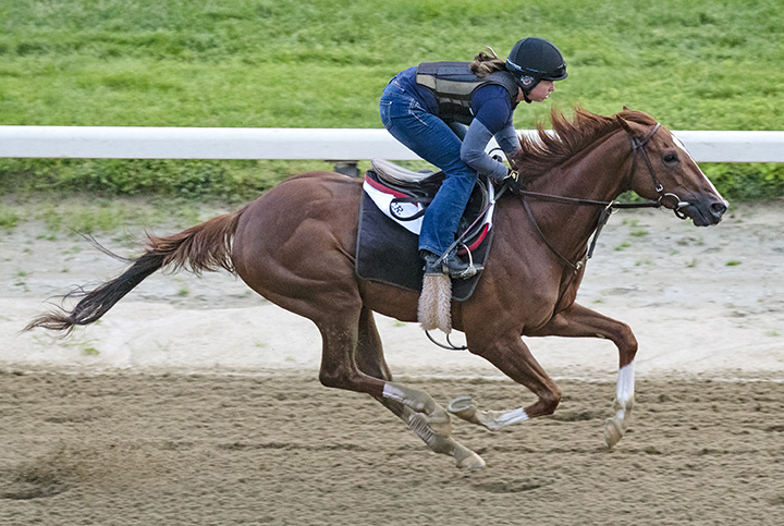 Code of Honor trains at Belmont on June 1