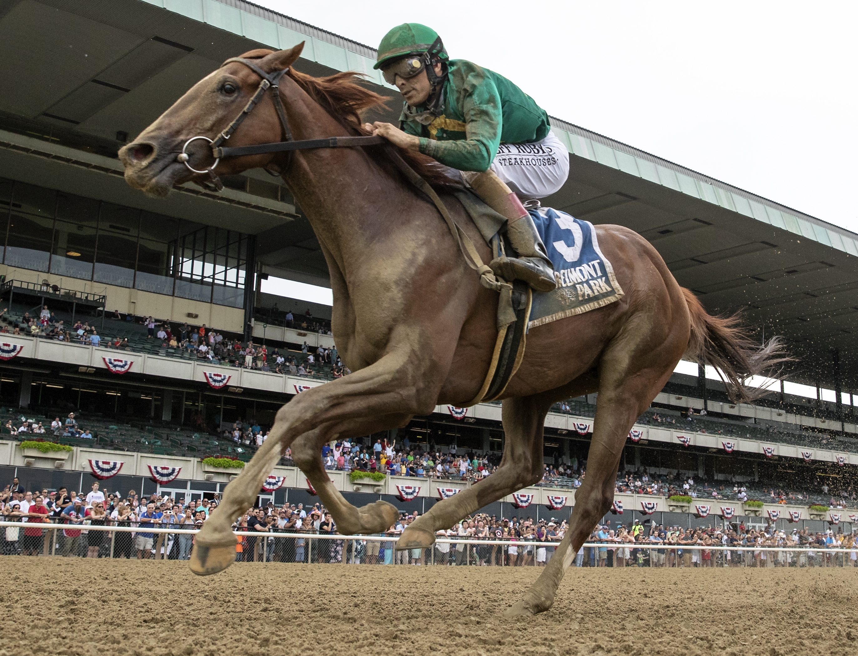 Code of Honor wins the 2019 Dwyer Stakes