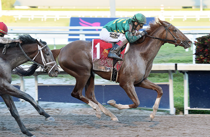 Code of Honor wins the Fountain of Youth