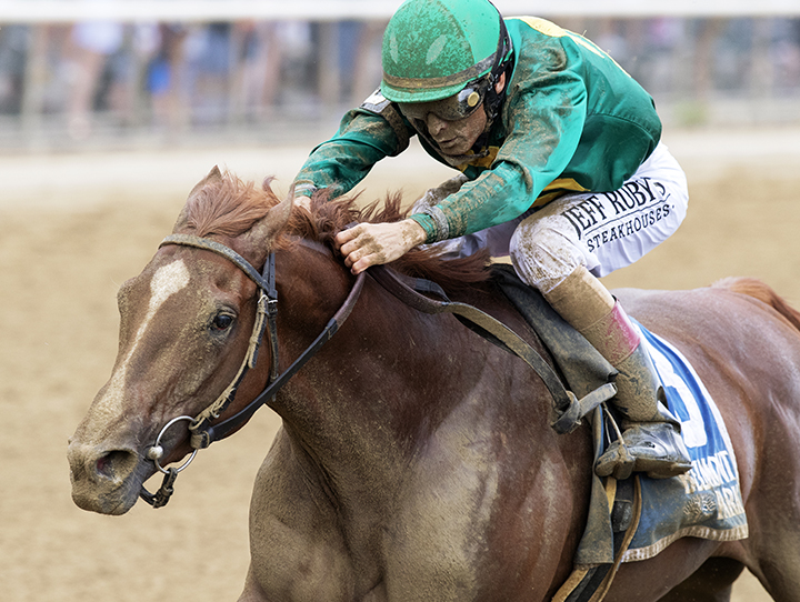 Code of Honor wins the 2019 Dwyer Stakes