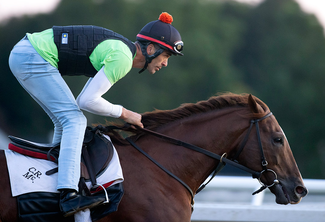 Code of Honor trains at Saratoga Race Course on Sept. 4
