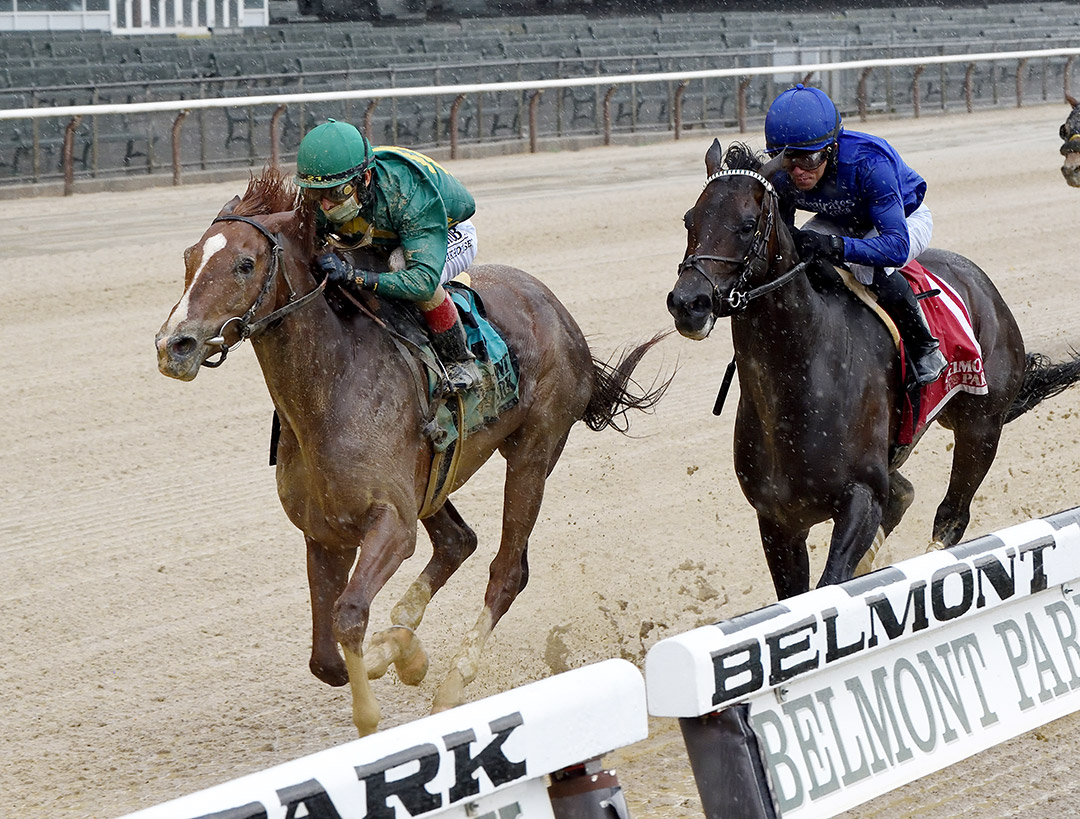 Endorsed (right) finishes second in the 2020 Westchester Stakes at Belmont