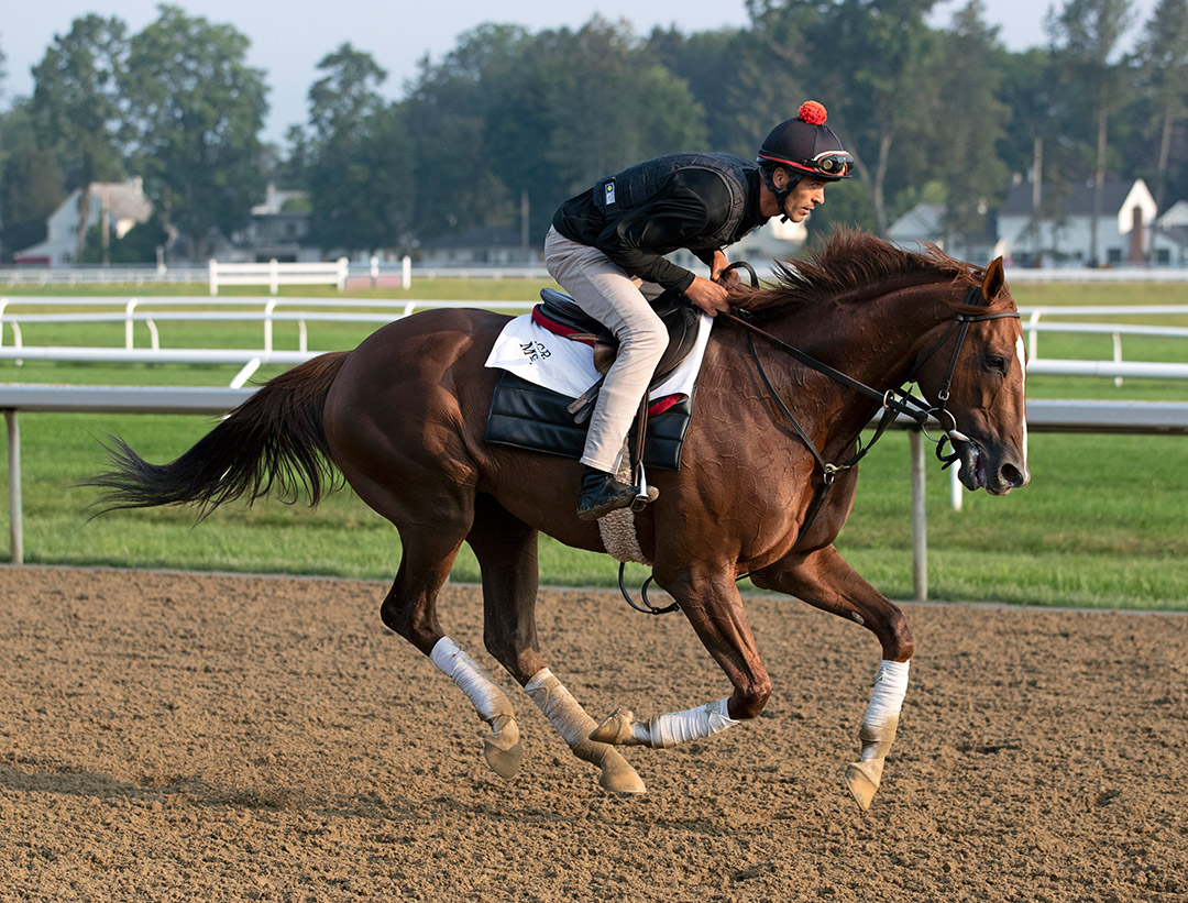 Code of Honor trains at Saratoga Race Course on Aug. 8