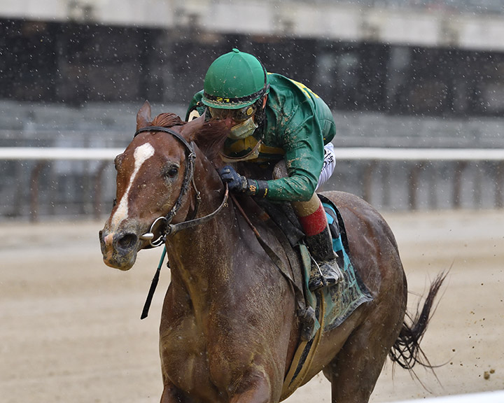 Code of Honor wins the 2020 Westchester Stakes at Belmont Park
