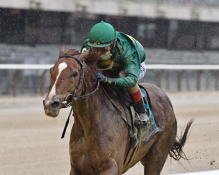 Code of Honor wins the 2020 Westchester Stakes at Belmont Park