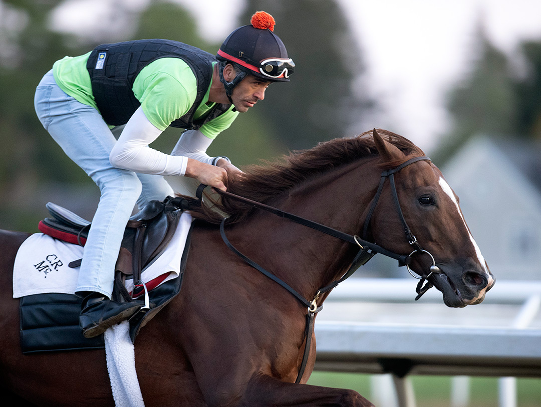 Code of Honor trains at Saratoga on Sept. 4