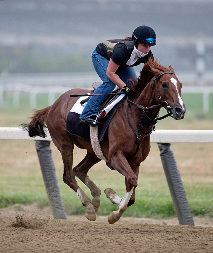 Code of Honor trains at Belmont Park on June 19