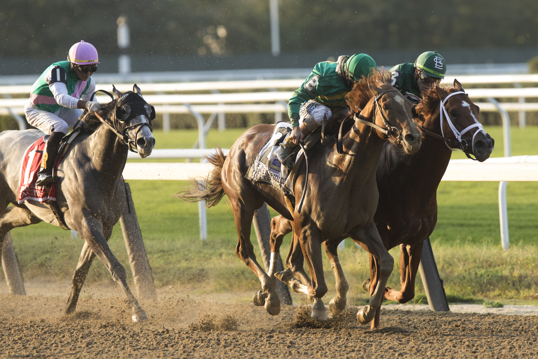Code of Honor (left) and Vino Rosso battle in the 2019 Jockey Club Gold Cup