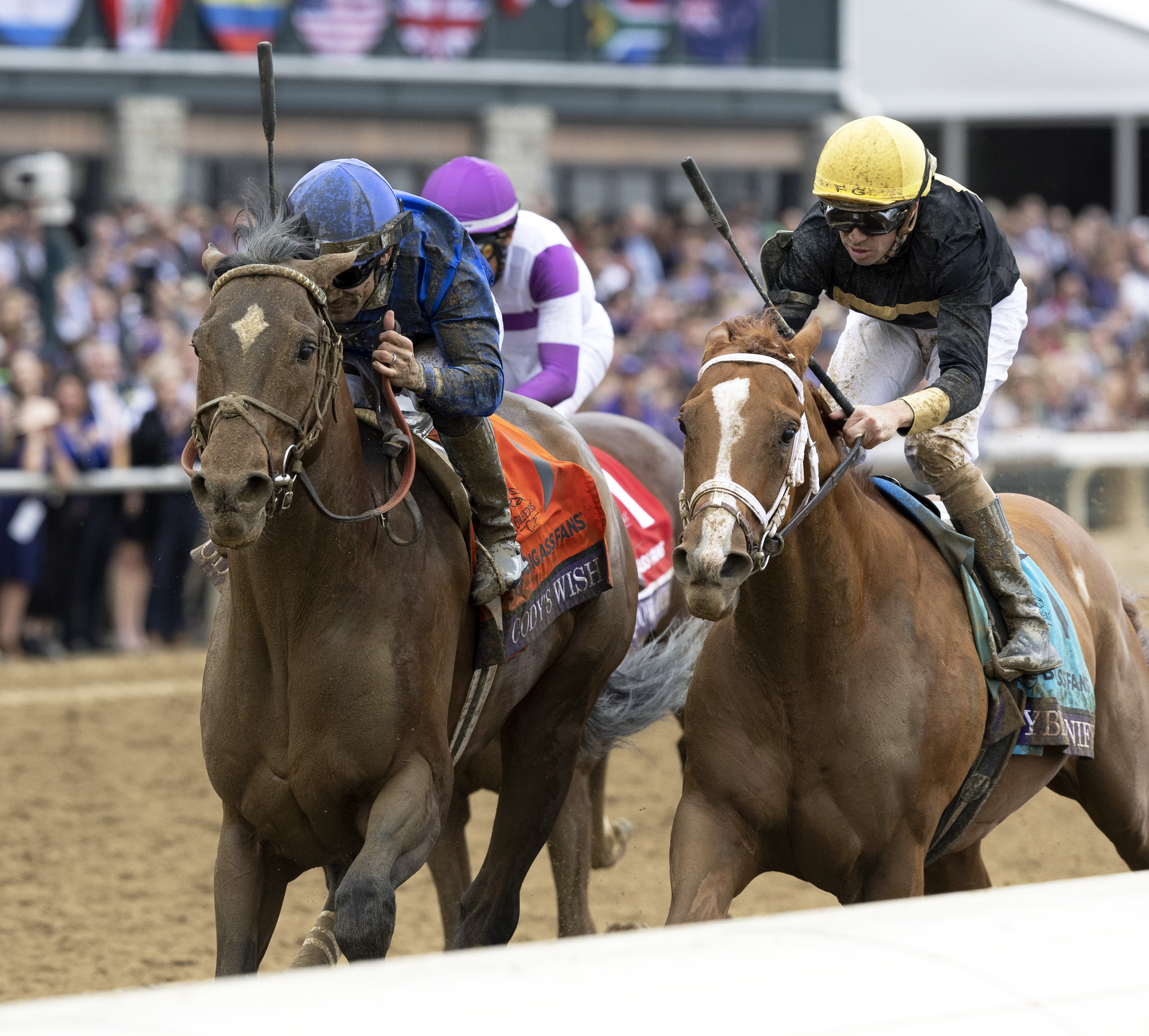 Cody's Wish (left) beats Cyberknife by a head in the Breeders' Cup Dirt Mile
