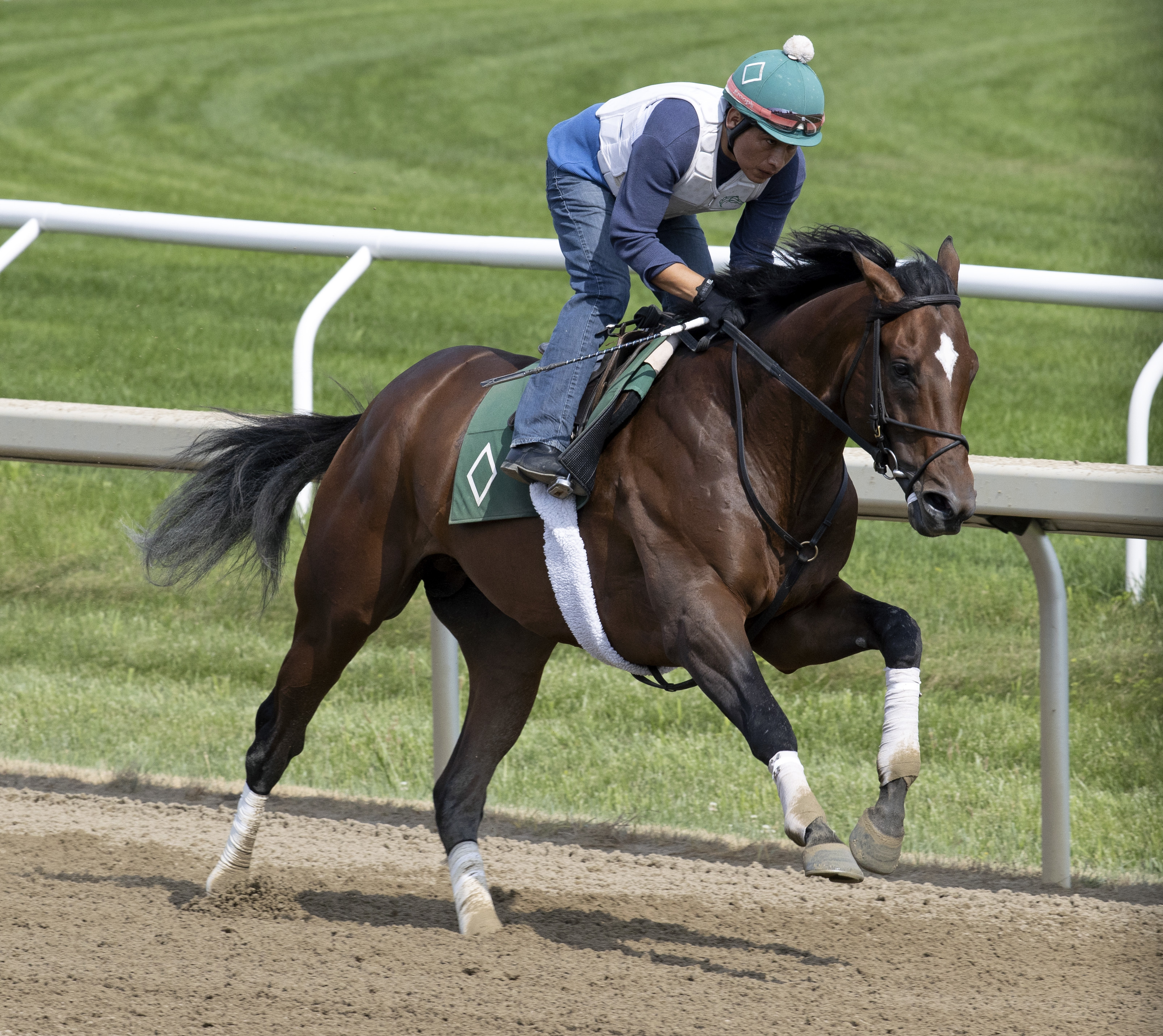 Cody's Wish works at Saratoga July 16 2022
