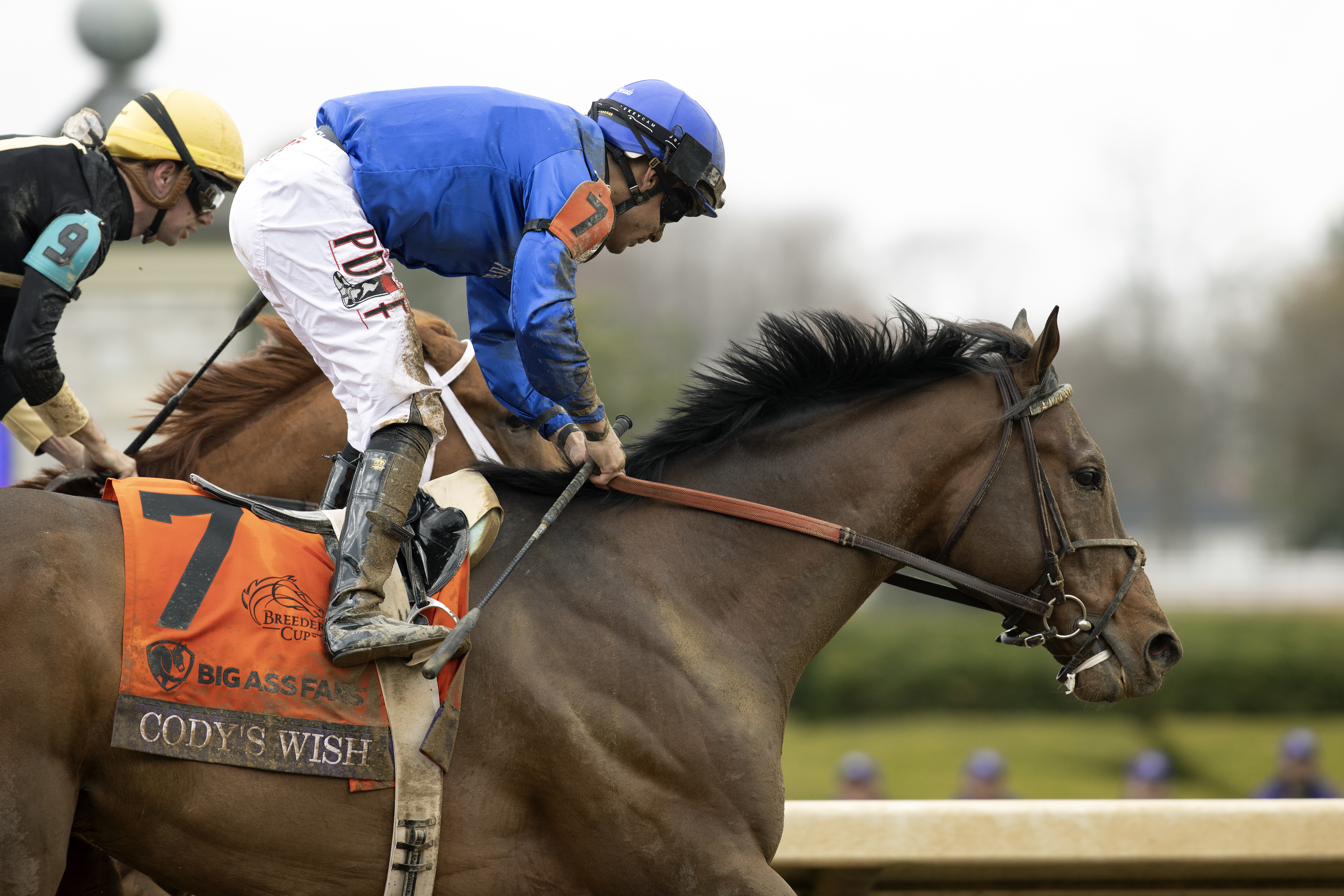 Cody's Wish/BC Dirt Mile