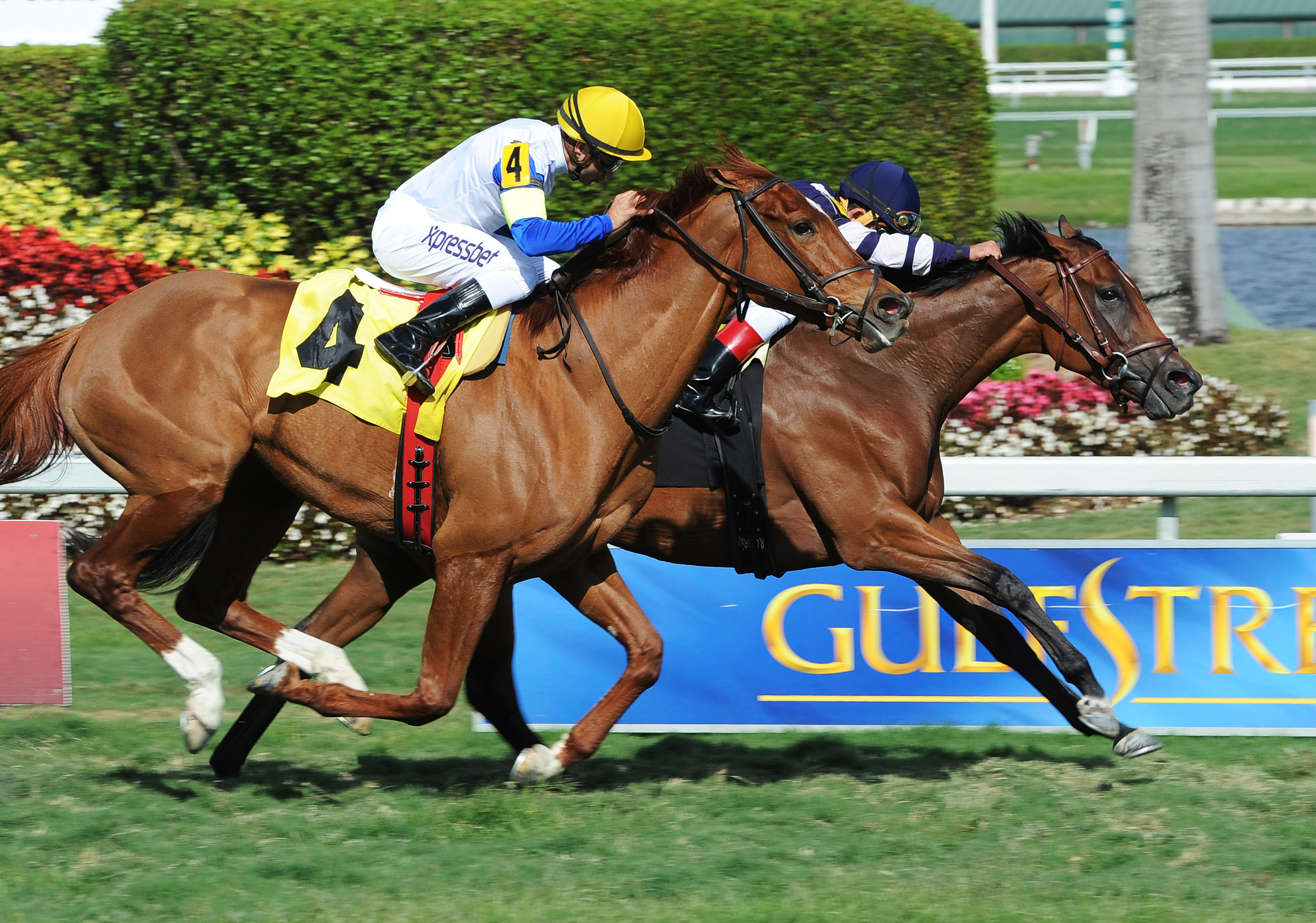 Coffee Clique wins a claiming race