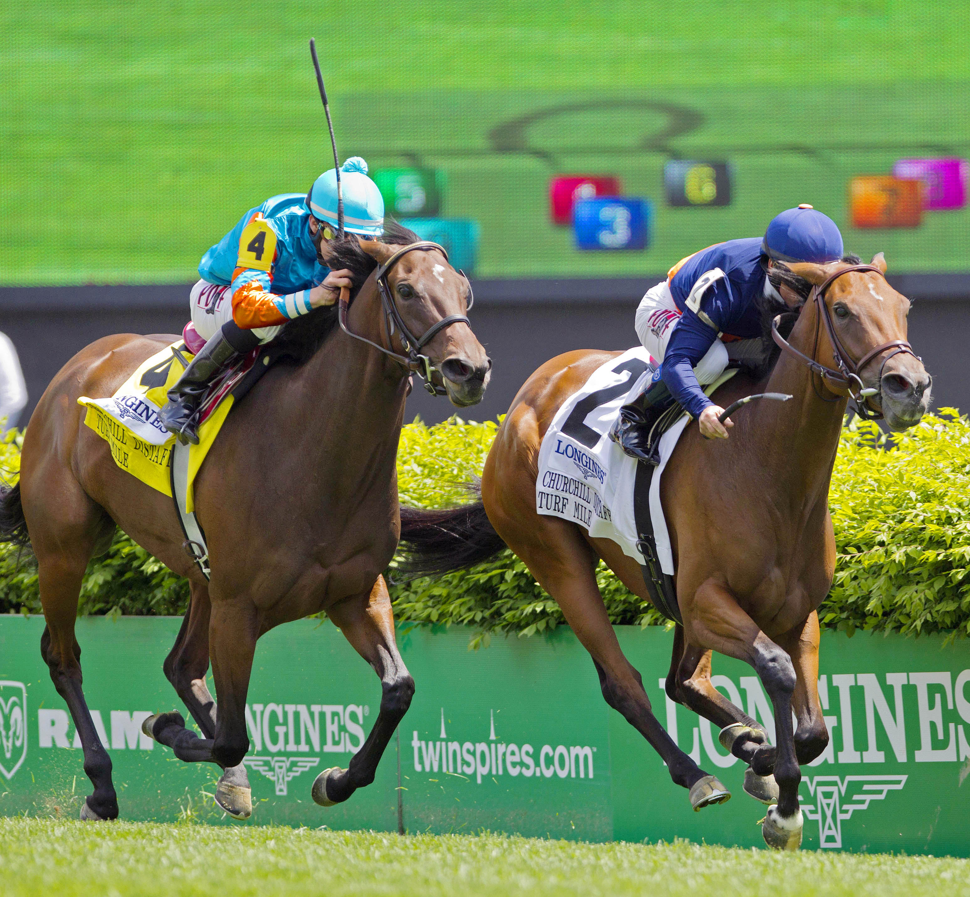 Coffee Clique wins the Distaff Turf Mile