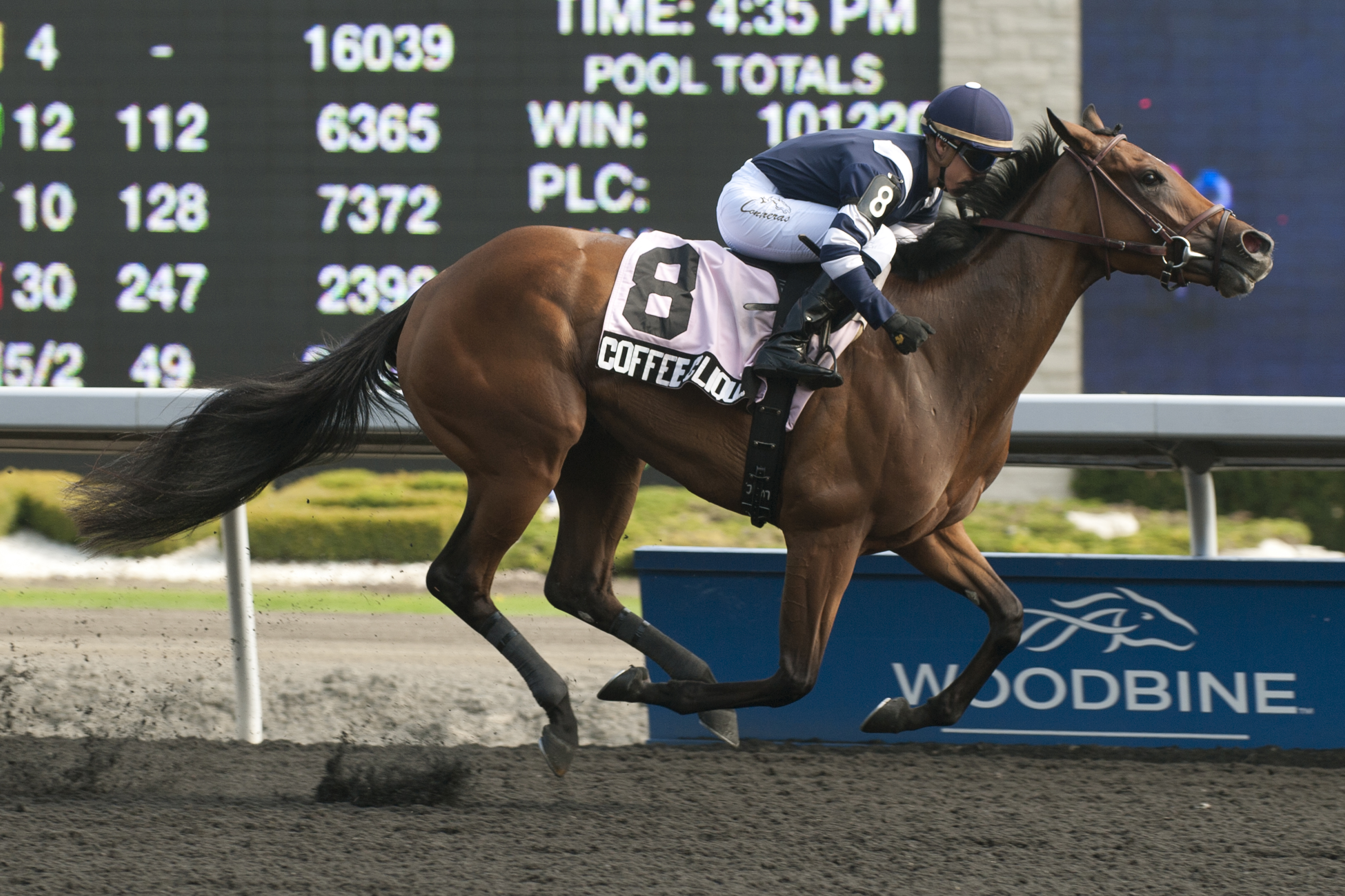Coffee Clique wins the Selene Stakes