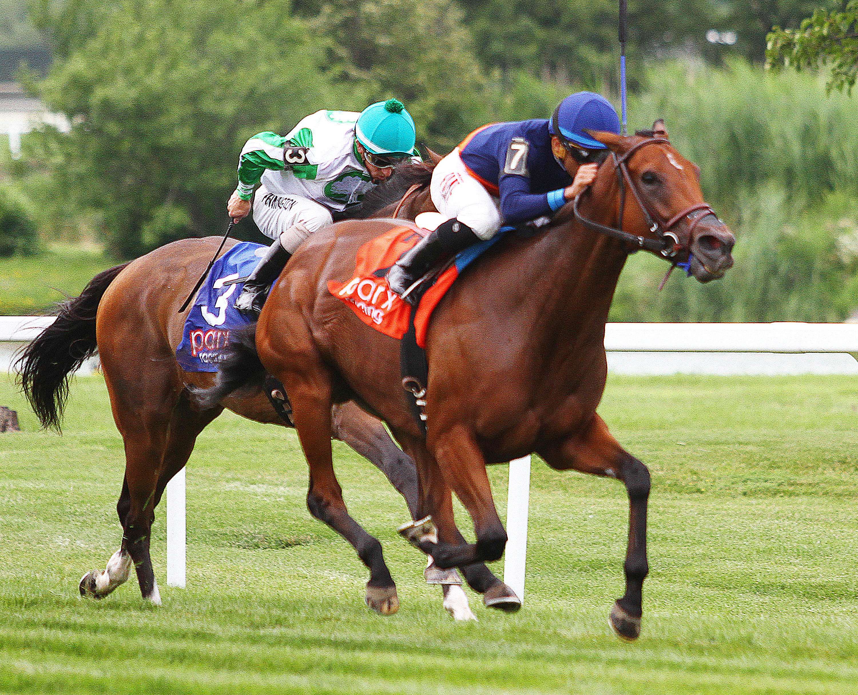 Coffee Clique wins the Dr. James Penny Memorial Handicap
