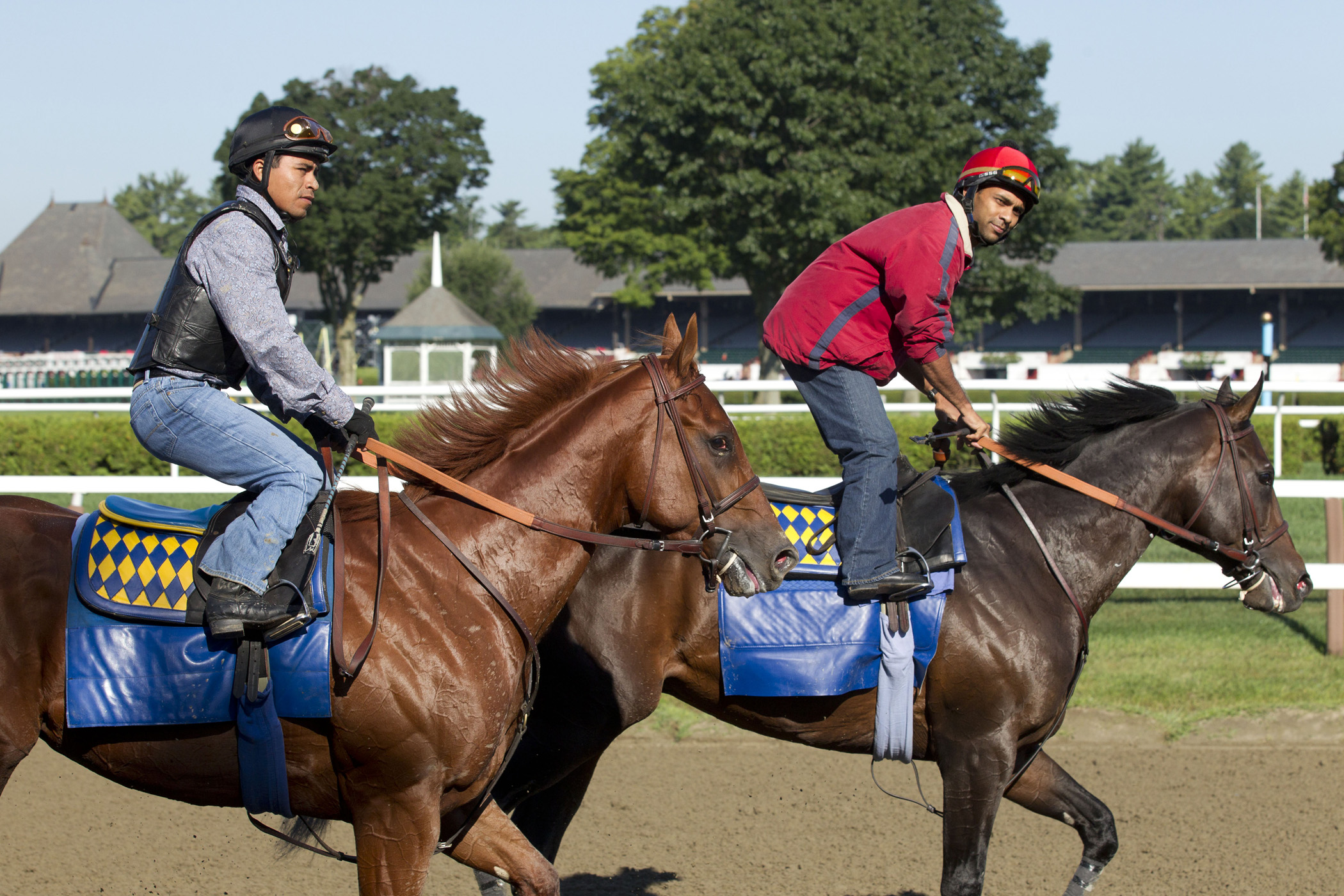 Coil (left) and Saddleranch at Saratoga