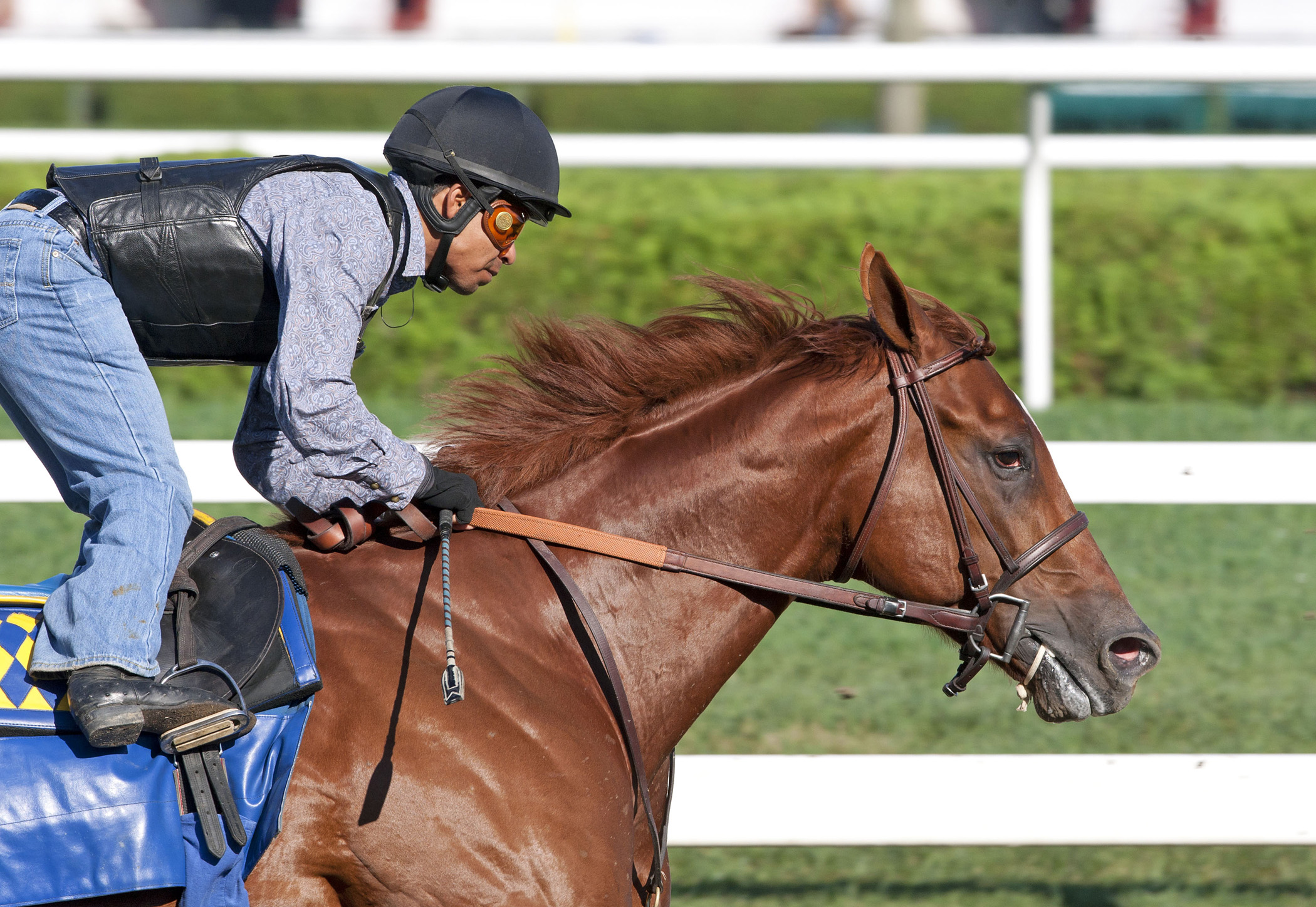 Coil and Martin Garcia at Saratoga