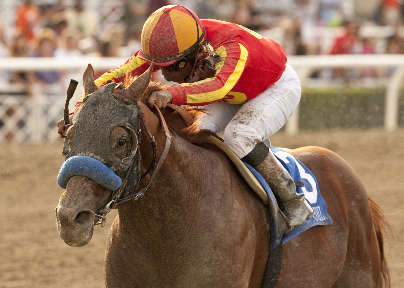 Coil/Santa Anita Sprint Championship
