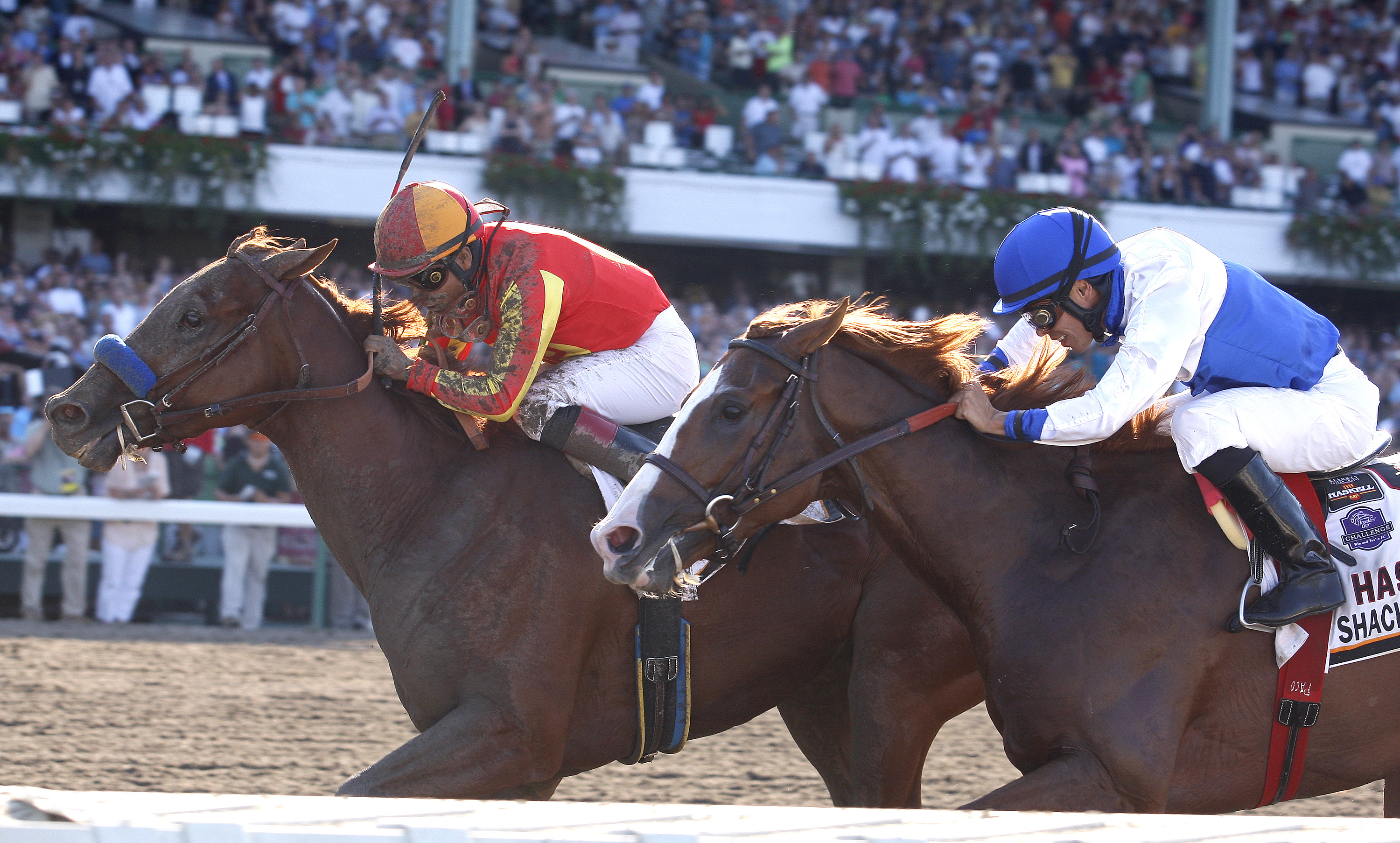 Coil wins Haskell over Shackleford
