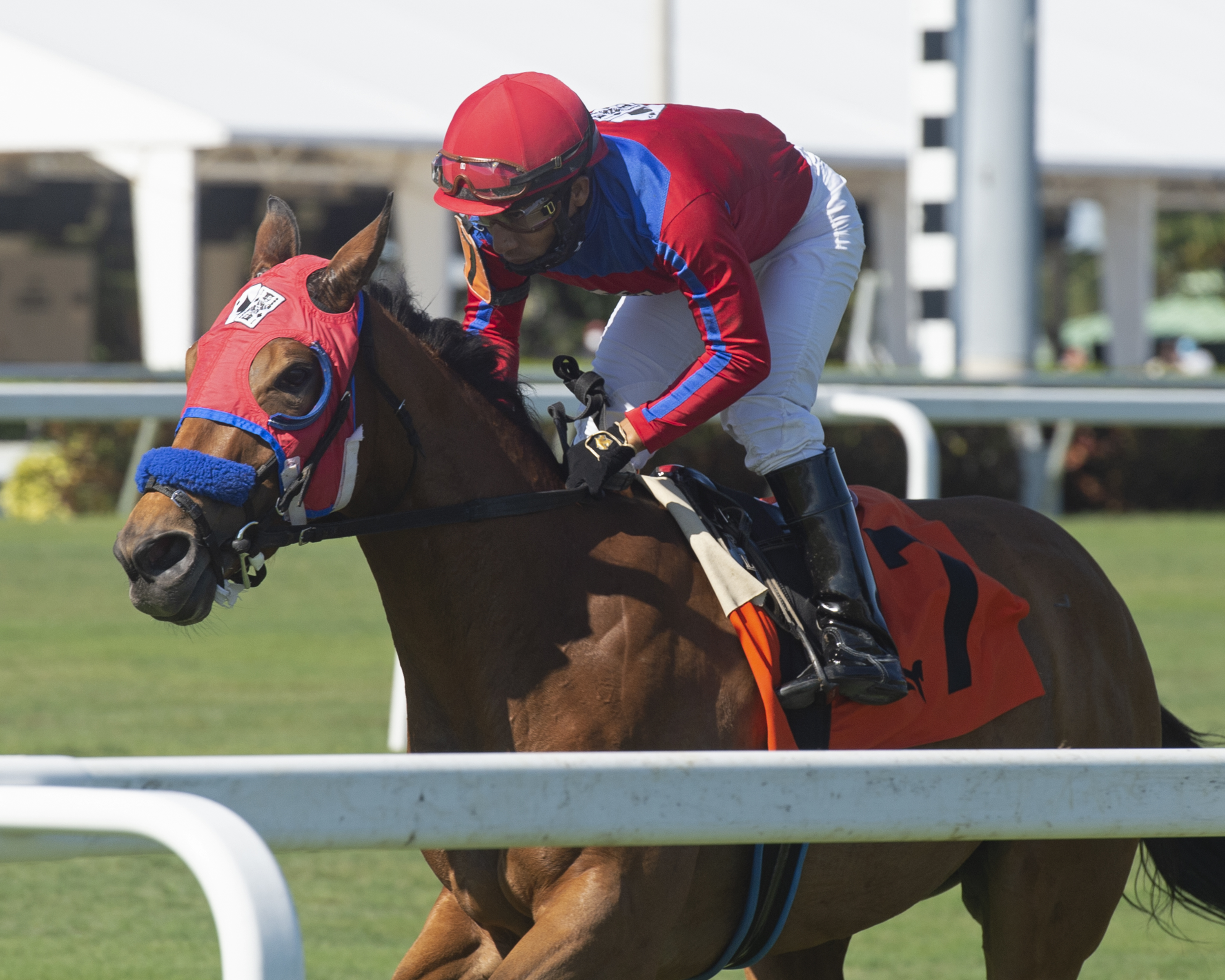 Coin the Phrase first race of meet credit Nicole Thomas