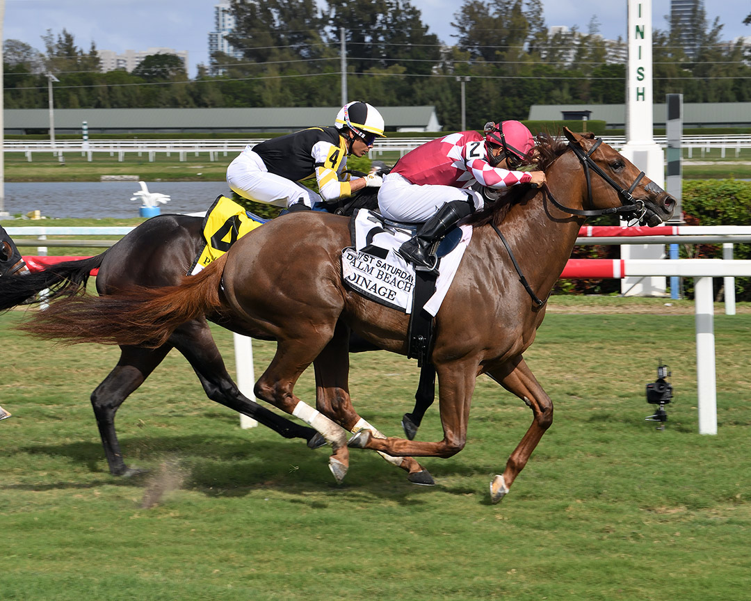 Coinage wins the 2022 Palm Beach Stakes at Gulfstream Park