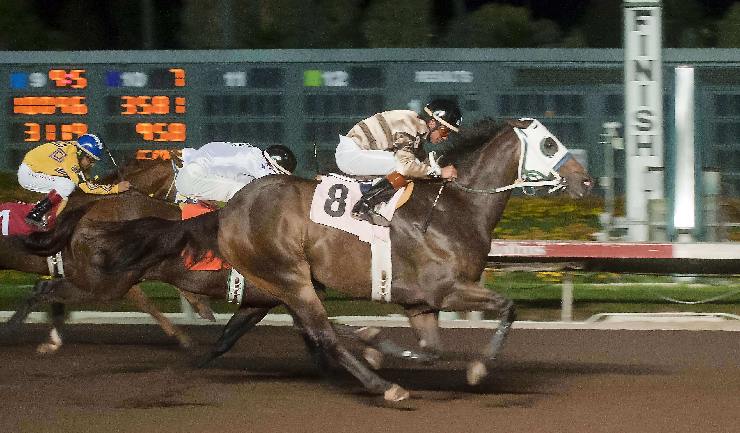 Cold Cash 123/Go Man Go Handicap