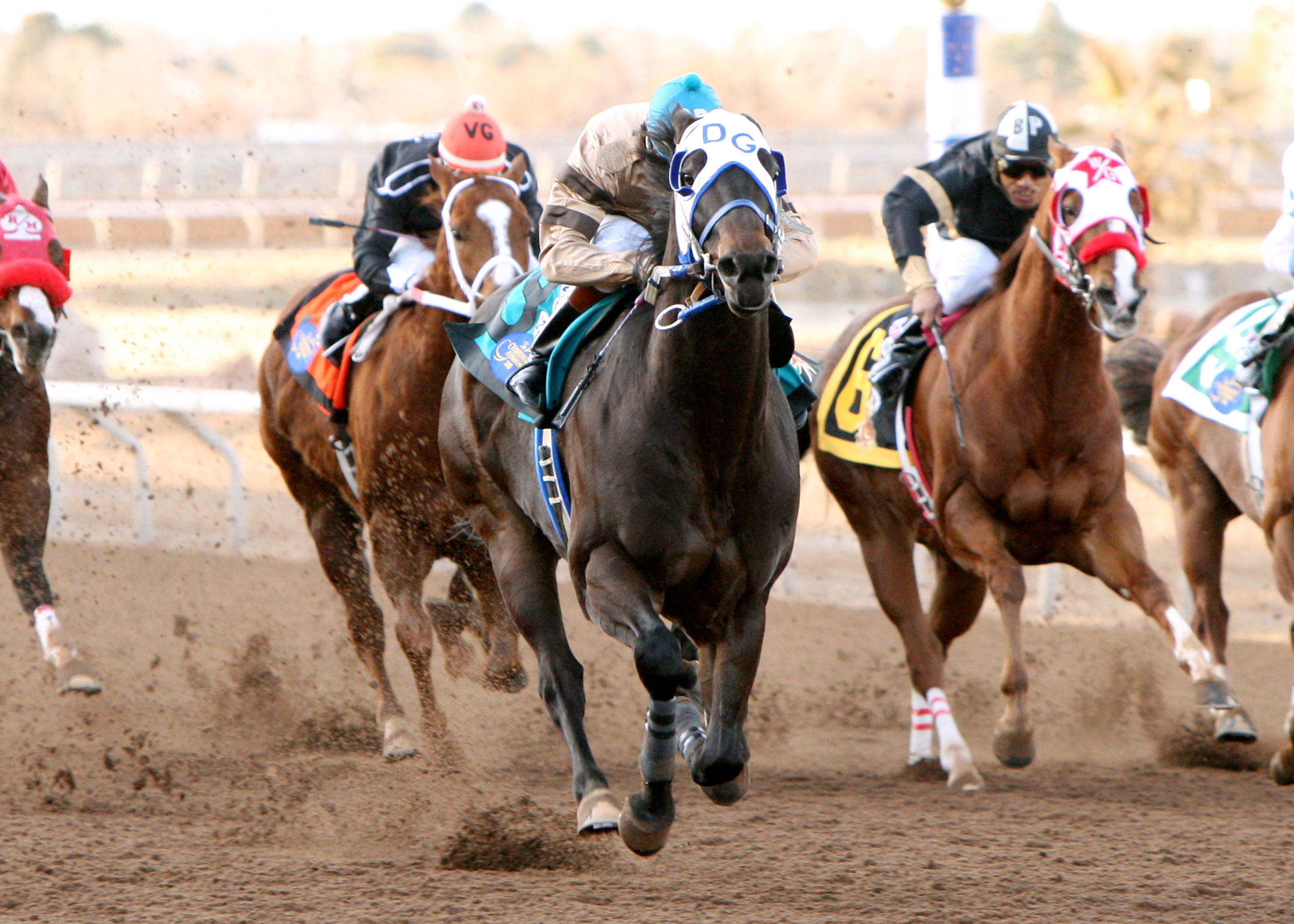 Cold Cash 123 at Sunland Park