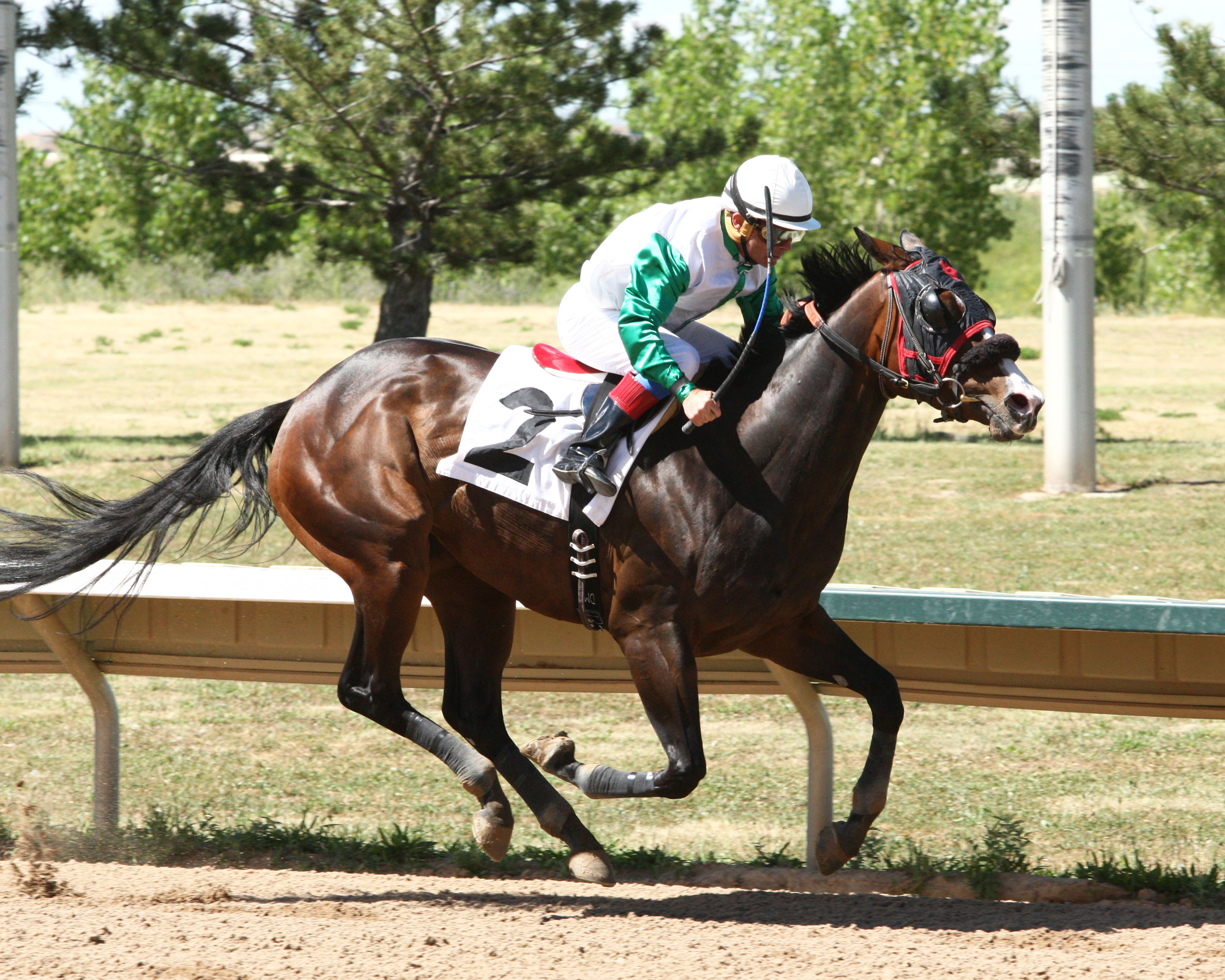 Colinda Dawn wins 2015 Colorado Derby