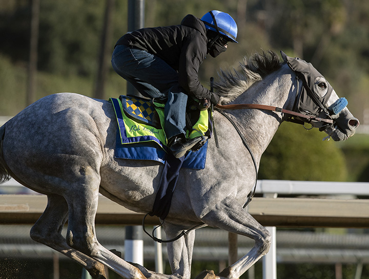 Coliseum trains at Santa Anita on 12.4.18