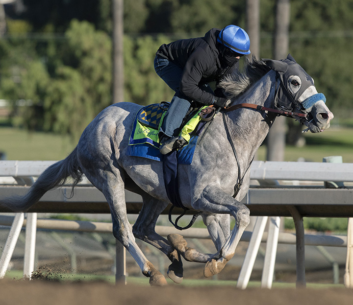 Coliseum trains at Santa Anita on Dec. 4