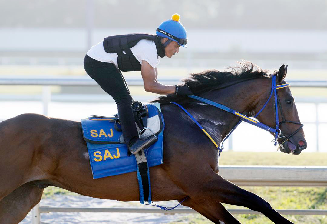 Collaborate trains at Gulfstream Park on March 25