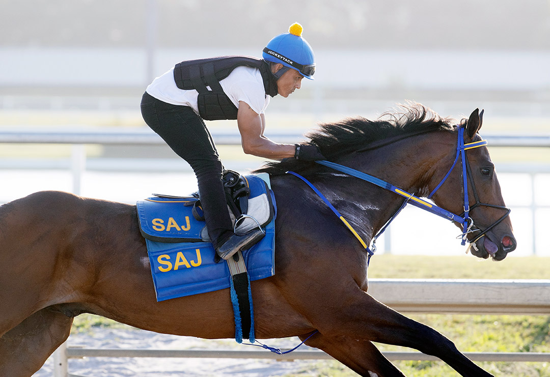Collaborate trains at Gulfstrem Park on March 25