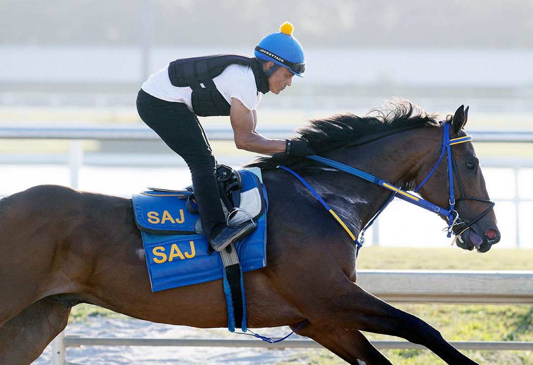 Collaborate trains at Gulfstream Park on March 25, 2021