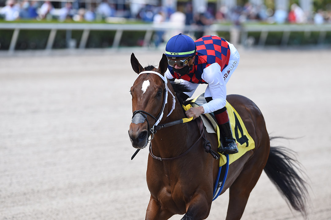 Collaborate wins a Feb. 27 maiden race at Gulfstream Park