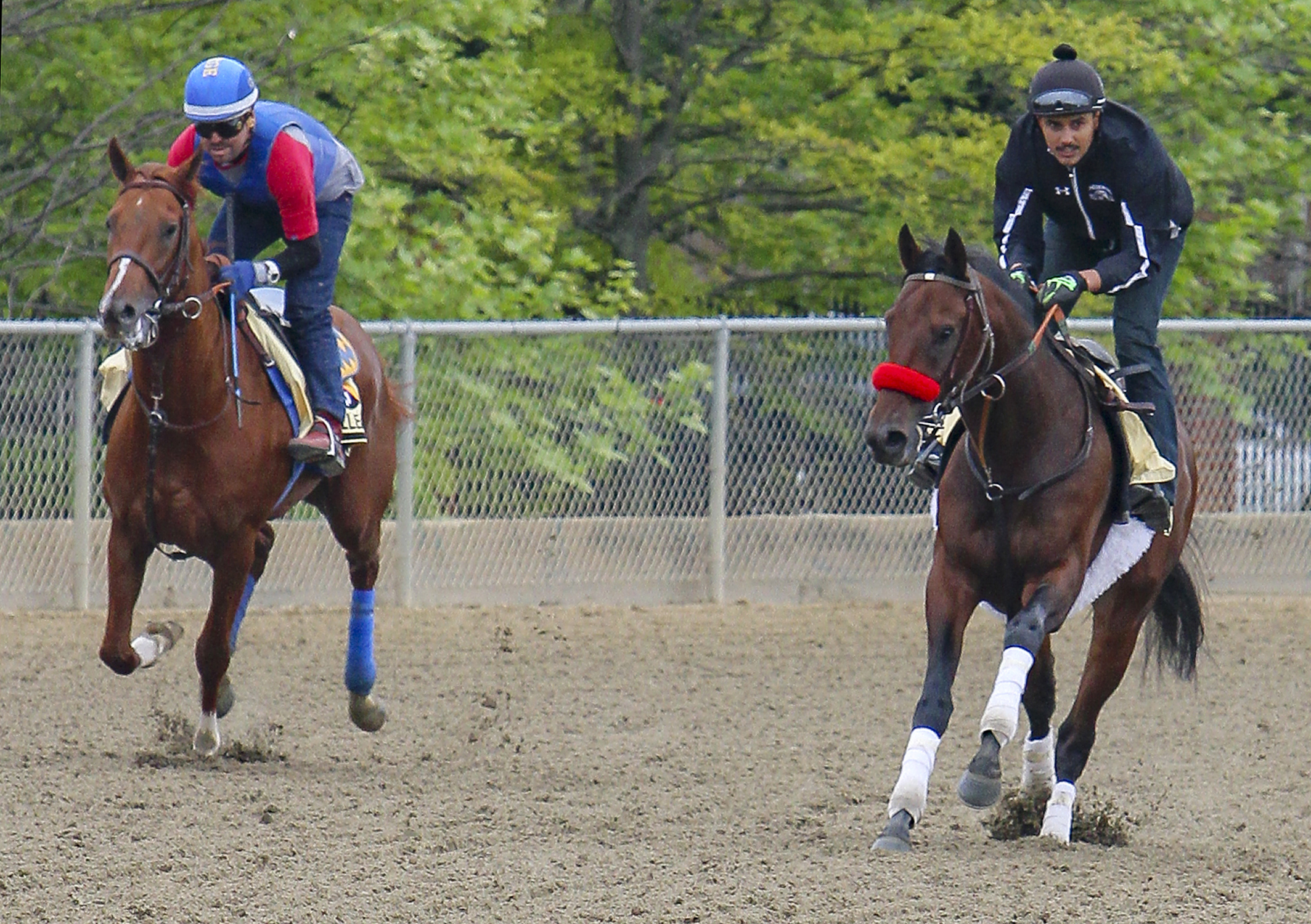 Collected and Nyquist galloping at Pimlico on May 19