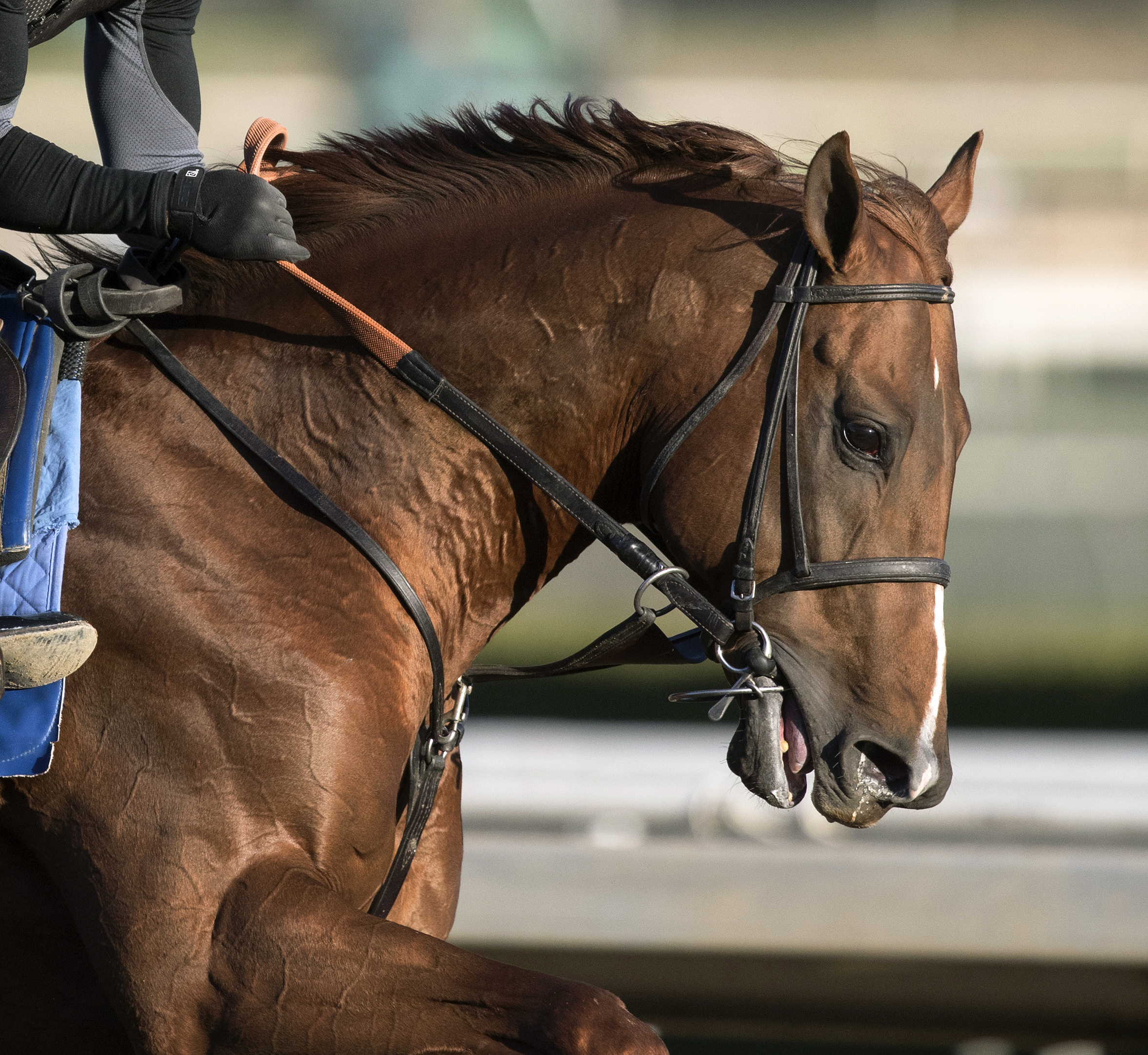 Collected trains at Santa Anita on Dec. 30
