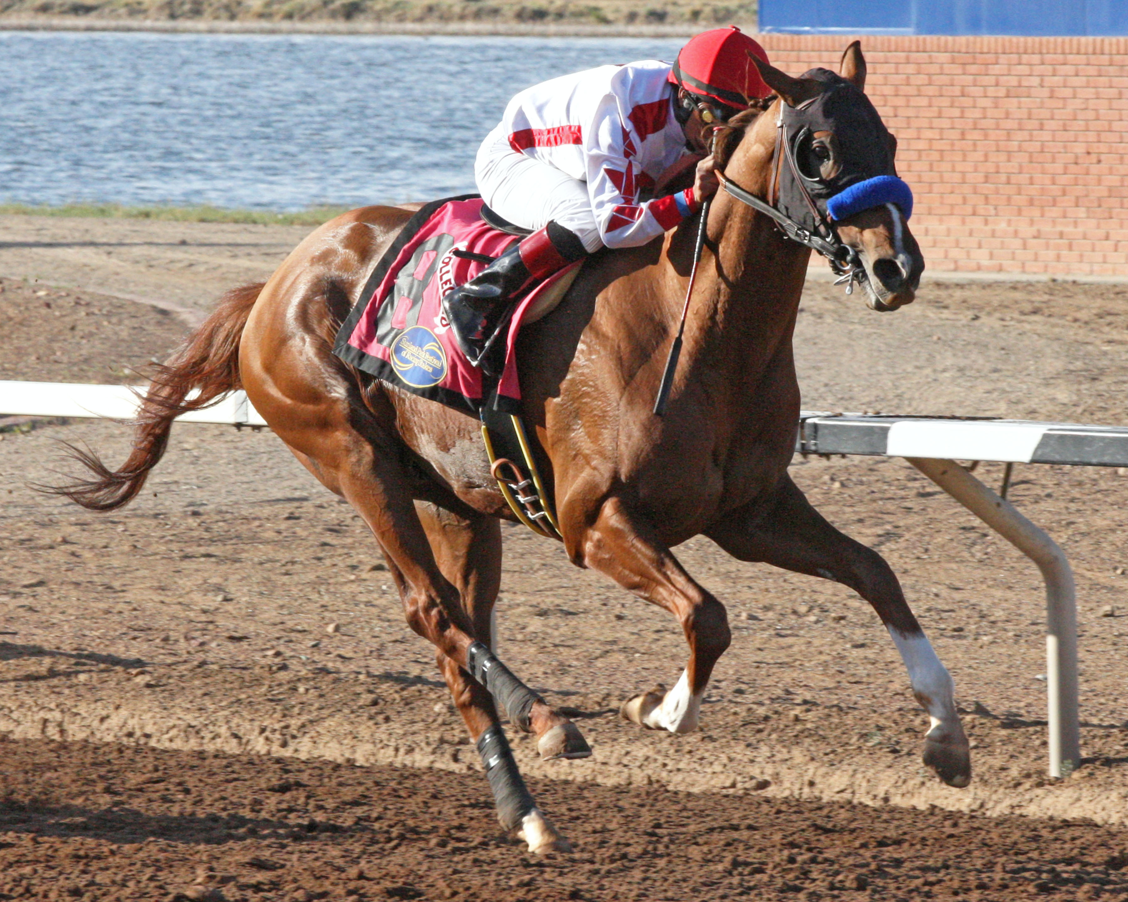 Collected wins the Sunland Park Festival of Racing Stakes