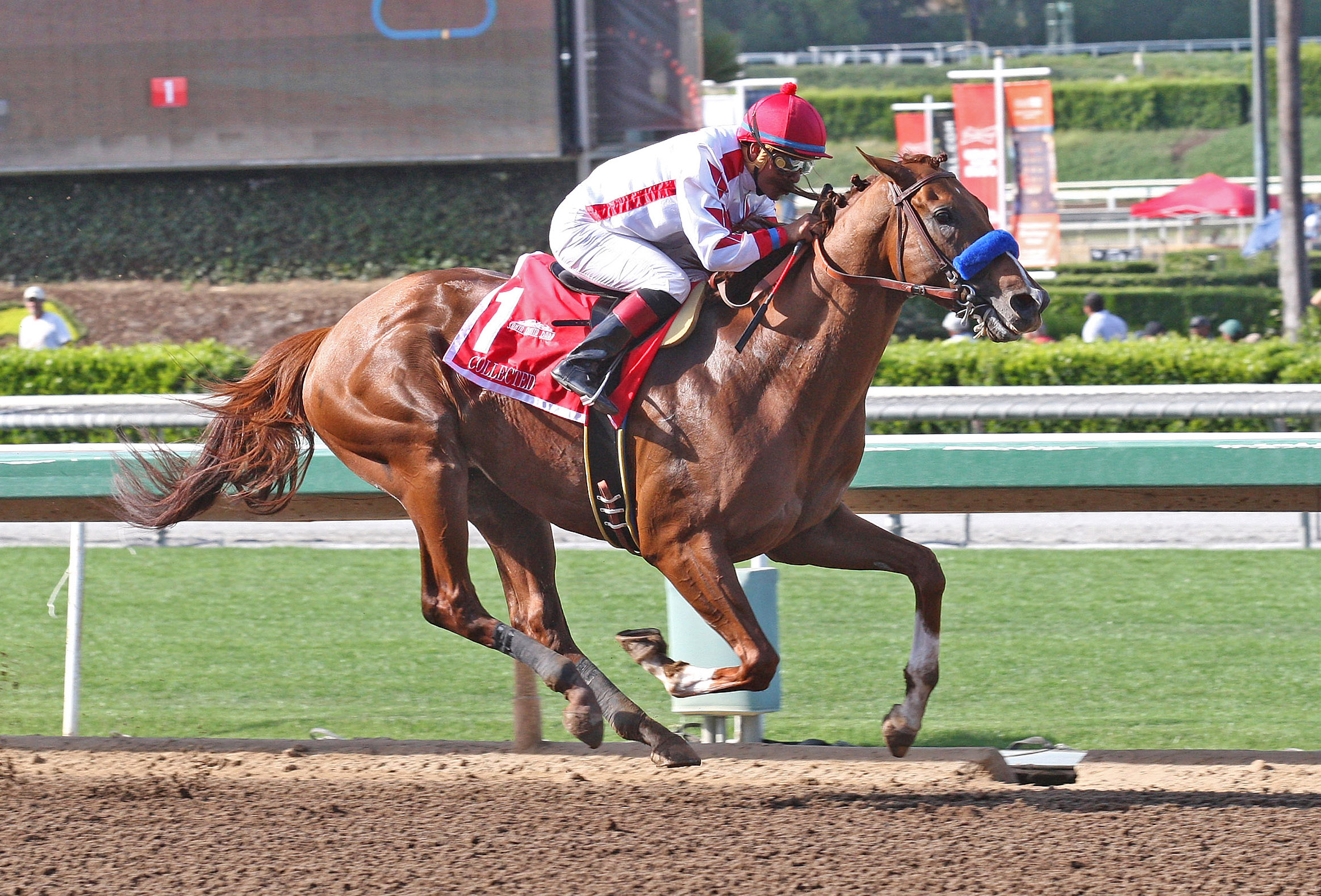 Collected wins the Californian Stakes