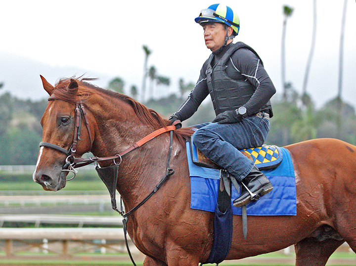 Collected at Santa Anita on Sept. 29