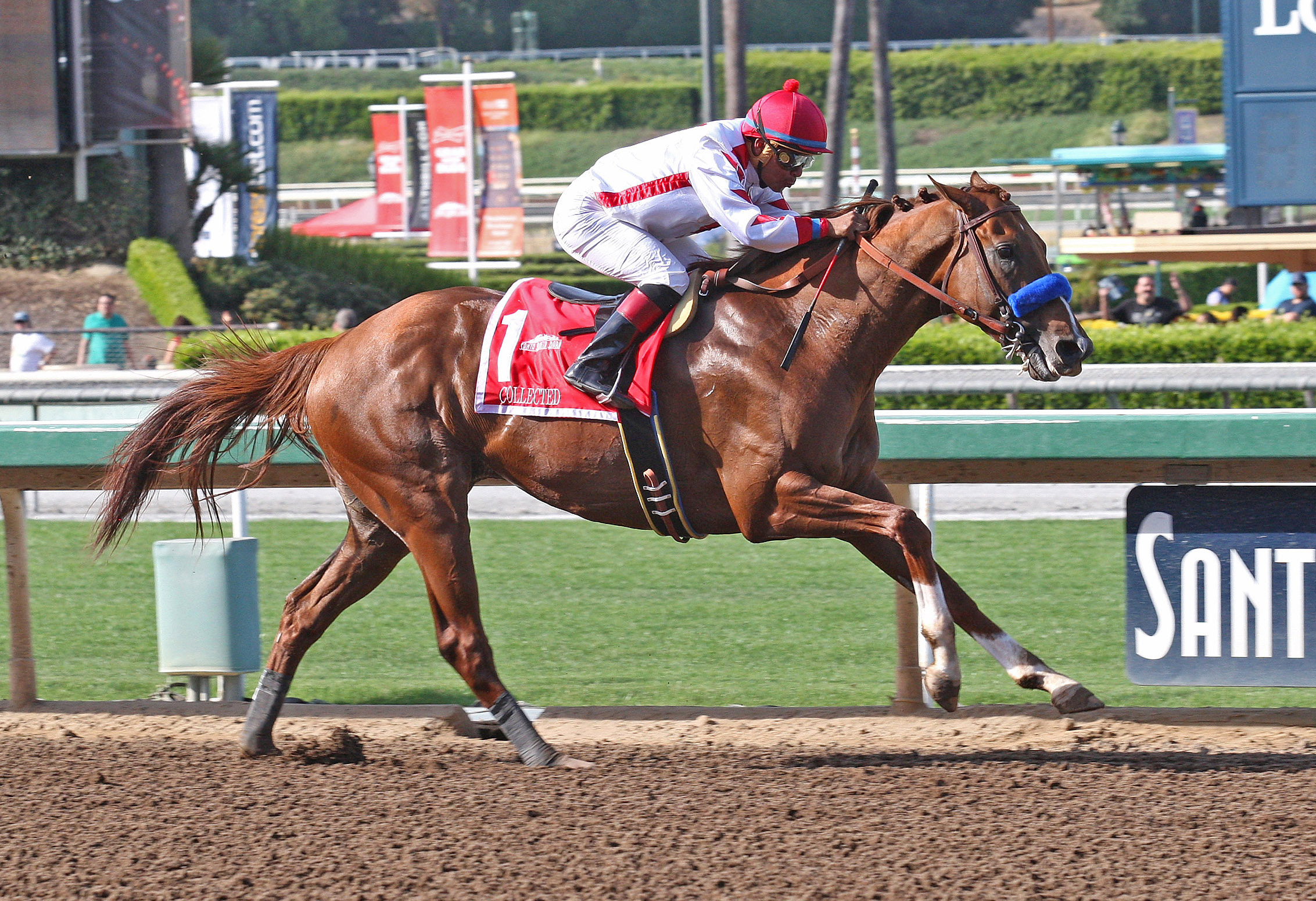 Collected wins the Californian Stakes