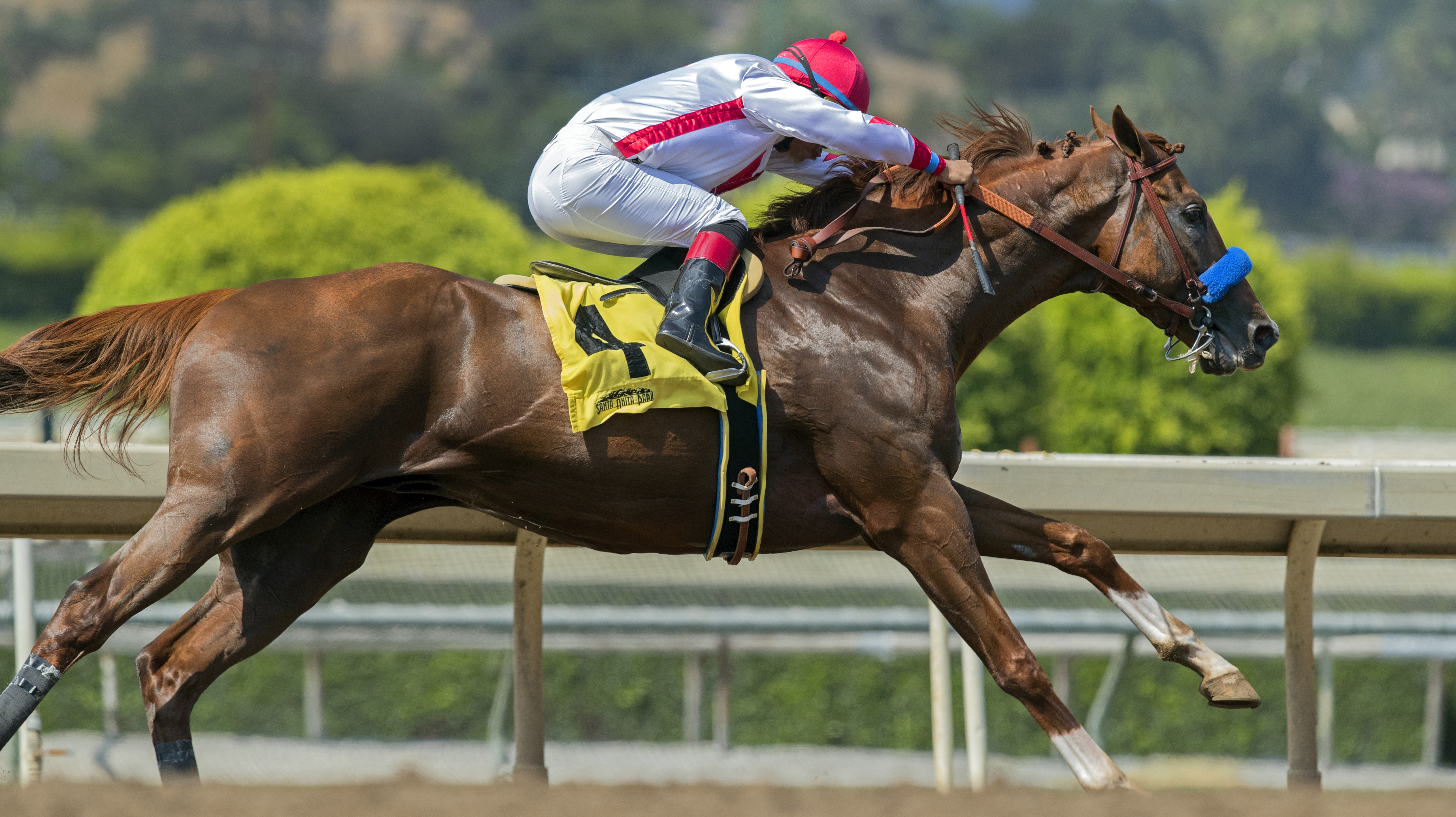 Collected wins the Precisionist Stakes